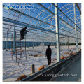 Greenhouse commerciale multi-span Venlo Polycarbonate